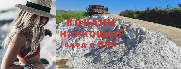бошки Белокуриха