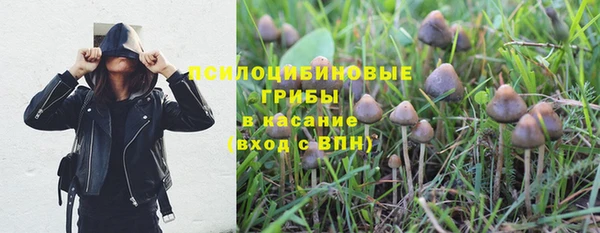2c-b Беломорск