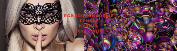 бошки Белокуриха