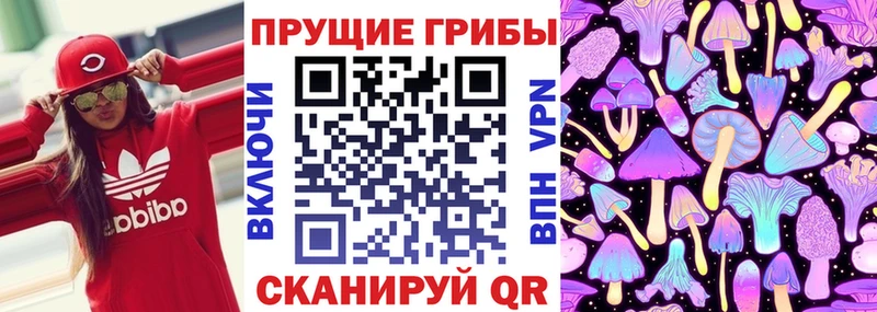 Галлюциногенные грибы прущие грибы  Пионерский 