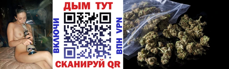 Канабис THC 21%  где купить наркоту  Пионерский 